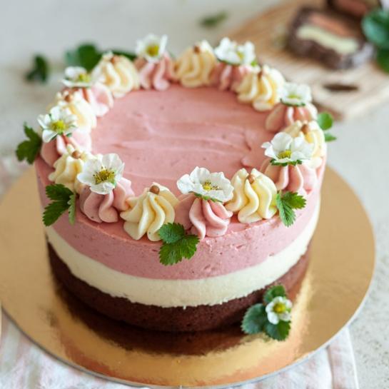 Neapolitanska torta ali torta planica