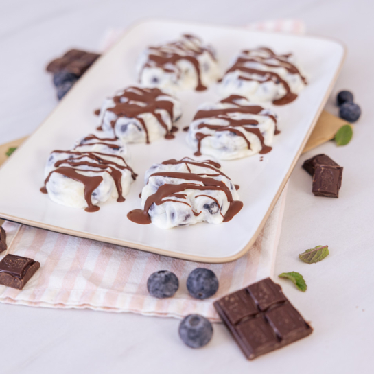 FIT borovničevi skyr zamrznjeni kupčki